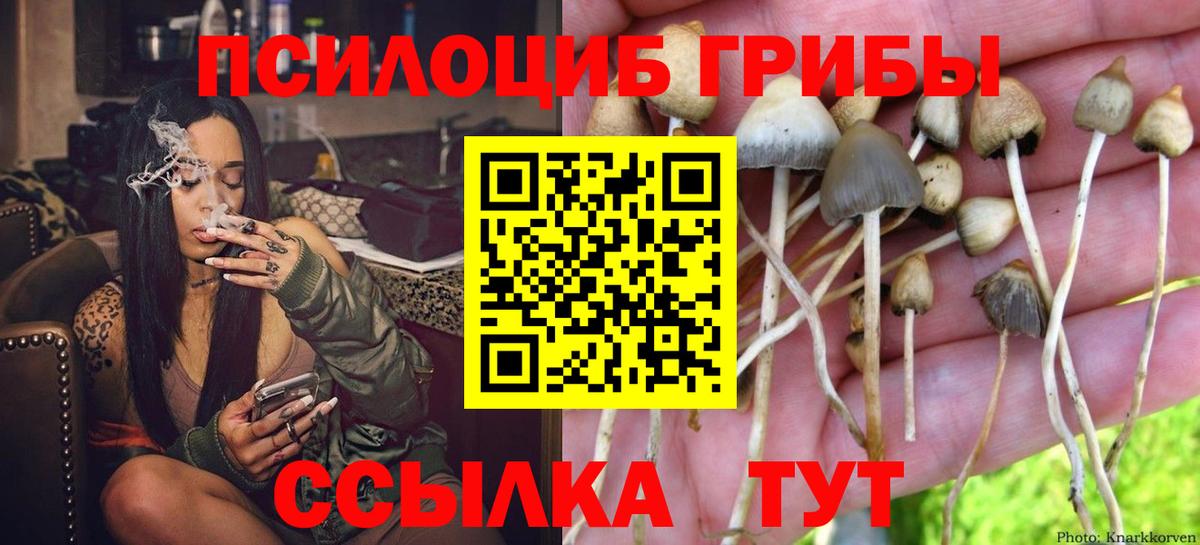 Псилоцибиновые грибы MAGIC MUSHROOMS Альметьевск