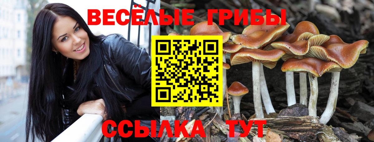 Лсд 25 Альметьевск