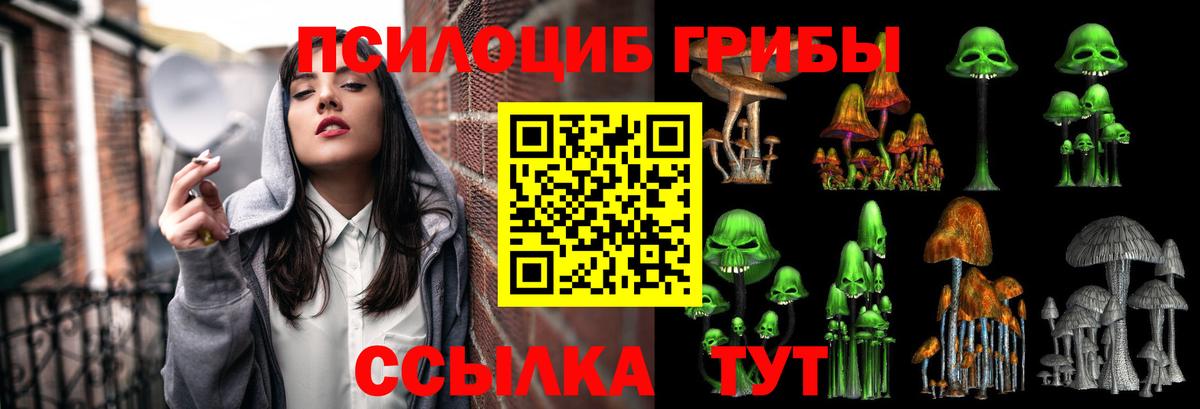 Галлюциногенные грибы GOLDEN TEACHER  Вход с VPN  Альметьевск 